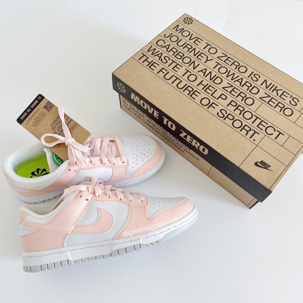 NWT Nike low dunk next nature shoes